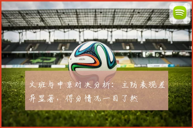 文班与申京对决分析：主防表现差异显著，得分情况一目了然