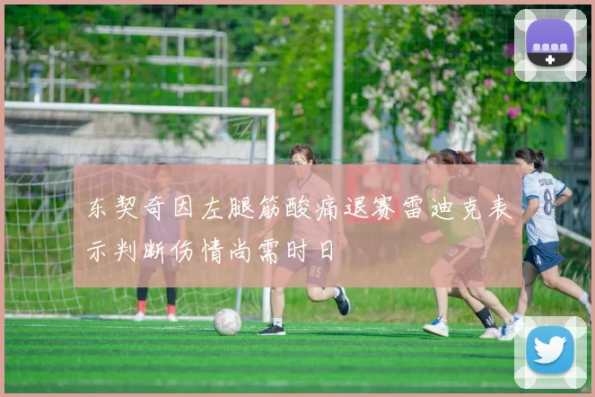 东契奇因左腿筋酸痛退赛雷迪克表示判断伤情尚需时日